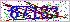 Dynamic Image