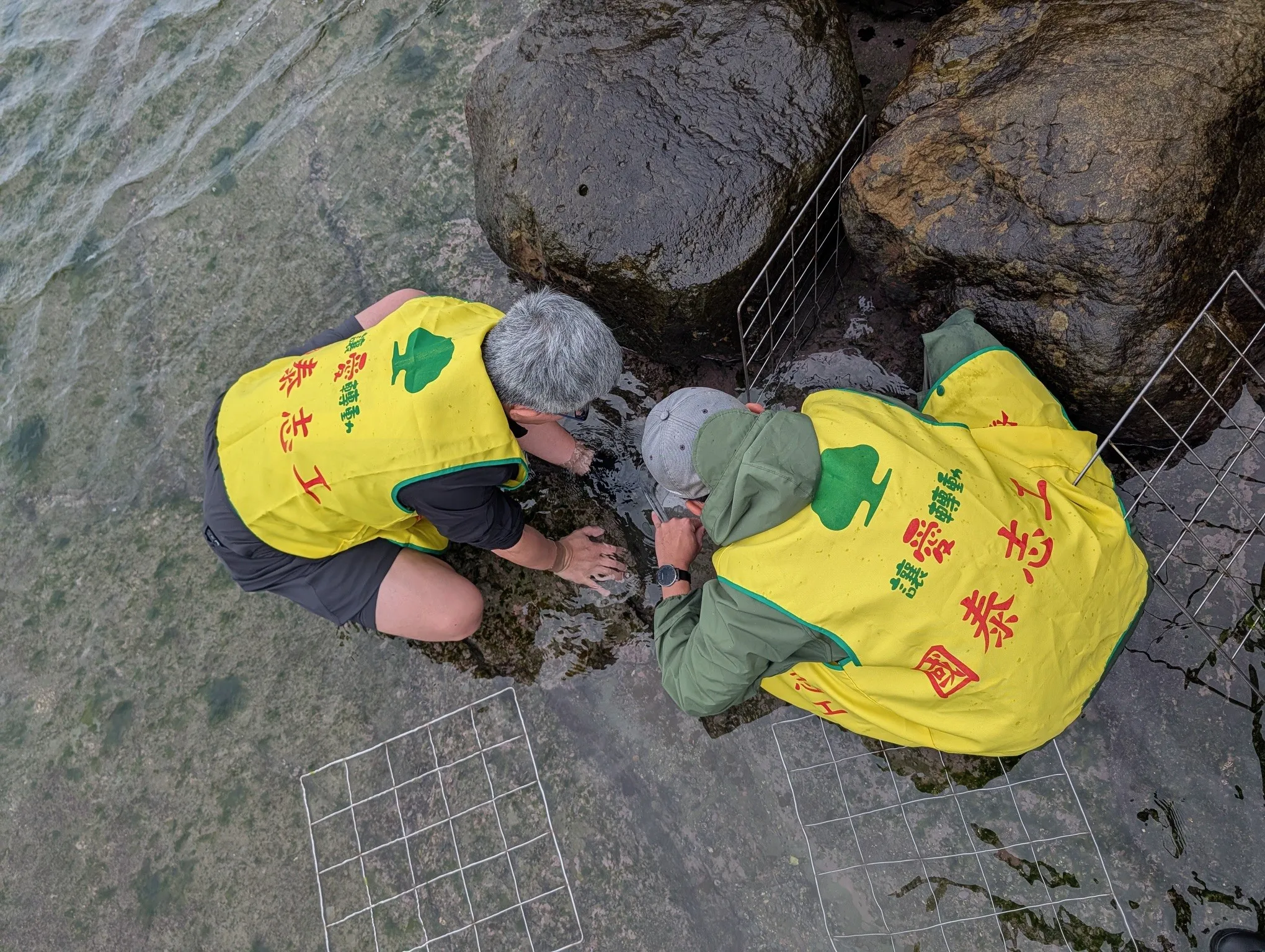 節電效益回饋社會